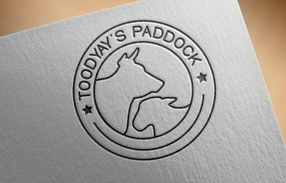 Diseño de Logo por selio para este proyecto | Diseño #5005413