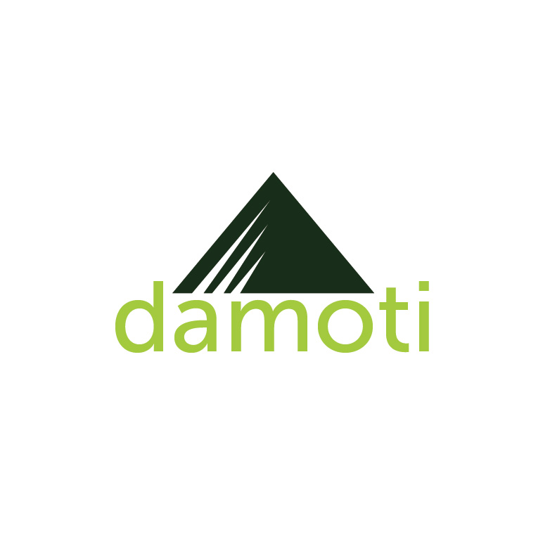 Logo Design by Design Possibilities for Damoti LLC | Design #1456439