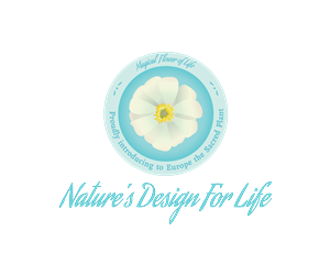 Logo Design by Blumenfeld for this project | Design: #5023492