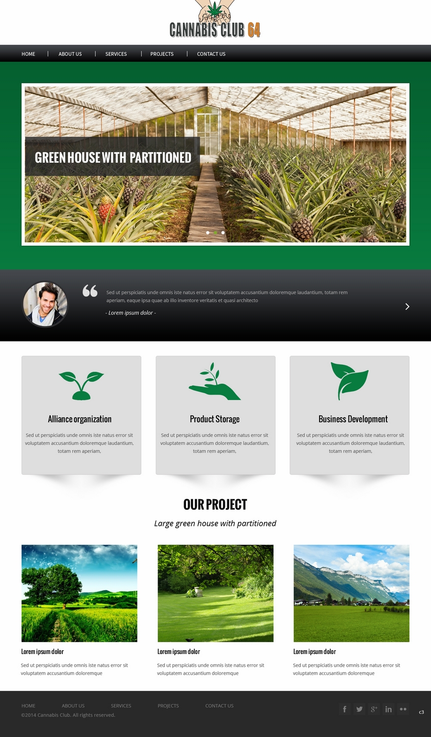 Diseño Web por pb para este proyecto | Diseño #5155071