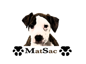 Logo Design by Ezmobibiz