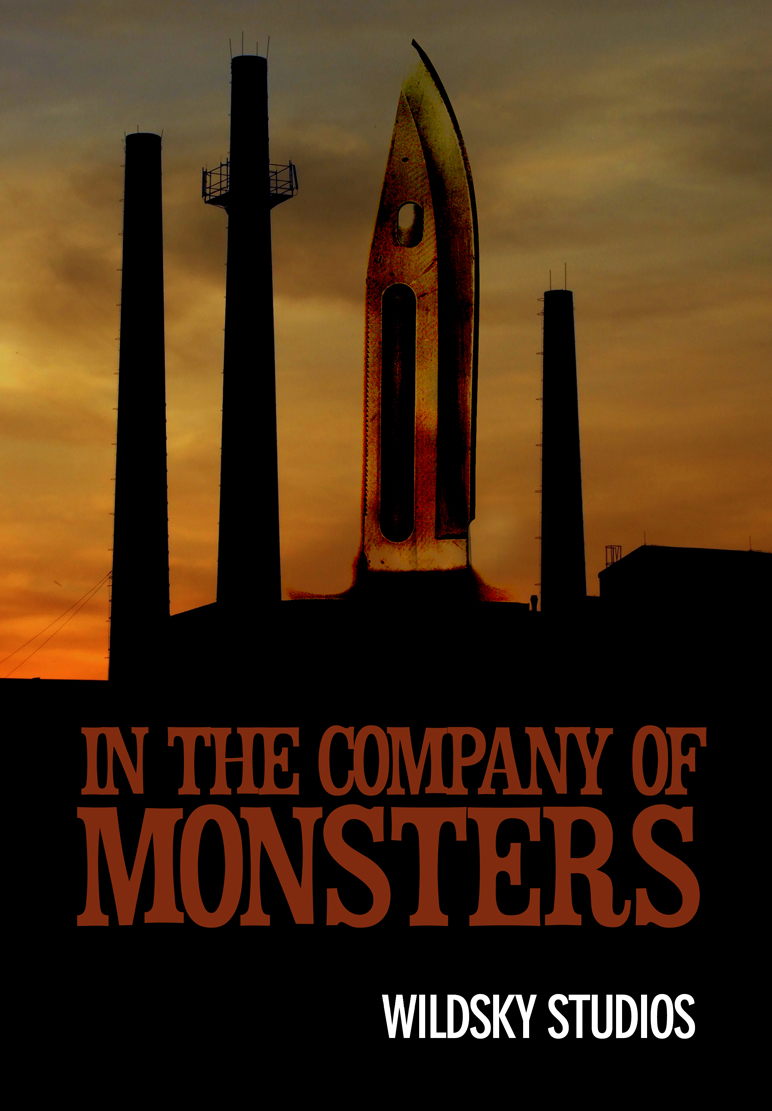 Book Cover Design by Ed Davad for Wildsky Studios | Design #1401463