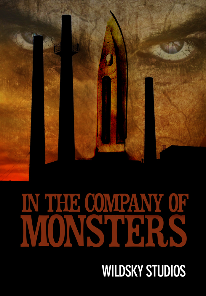 Book Cover Design by Ed Davad for Wildsky Studios | Design #1404868