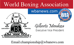 Diseño de Tarjeta de Presentación por PureDesign para World Boxing Association | Diseño #4991568