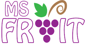 Logo-Design von ruzettecruz für dieses Projekt | Design: #4963500