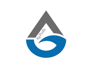 Logo Design by liaarts