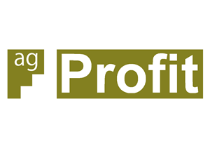 Logo Design by Matteo