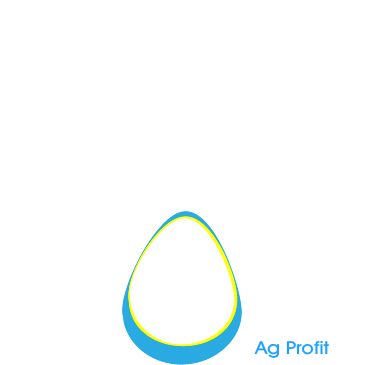 Logo Design by NIN O for this project | Design #254781