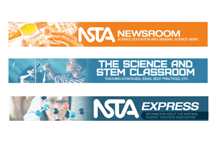 Newsletter Design by Juuri