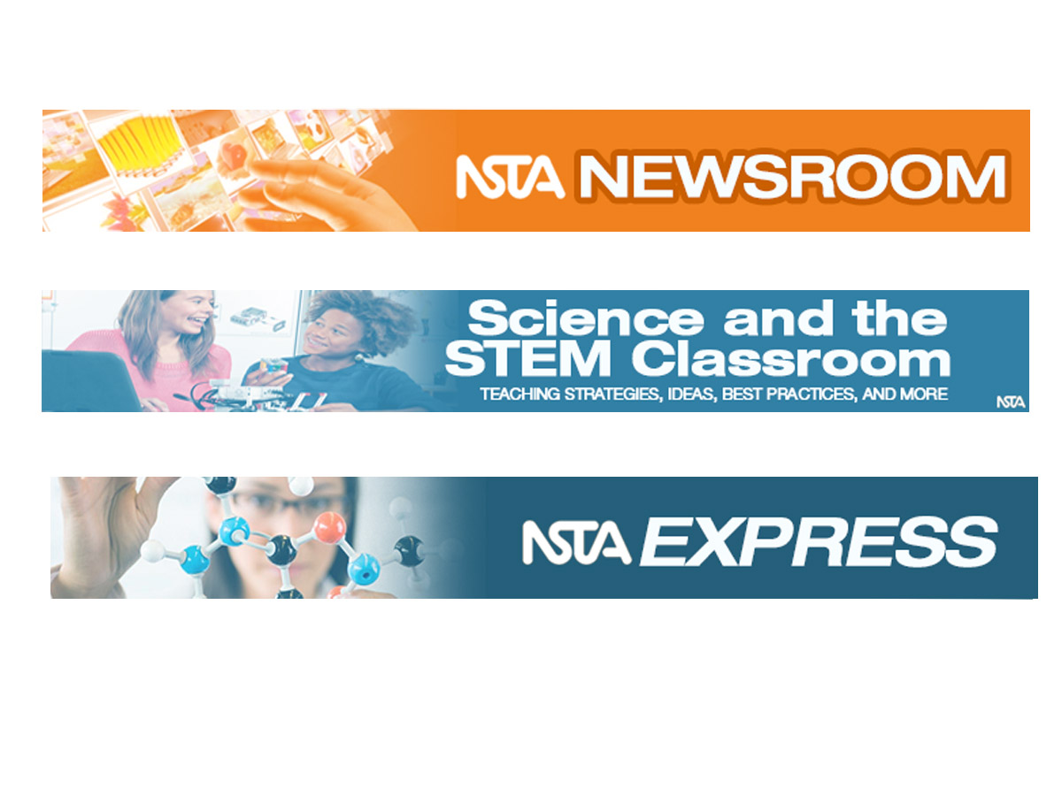 Newsletter Design by Juuri for NSTA | Design #5087308