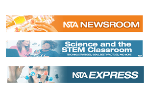 Newsletter Design by Juuri for NSTA | Design: #5087308