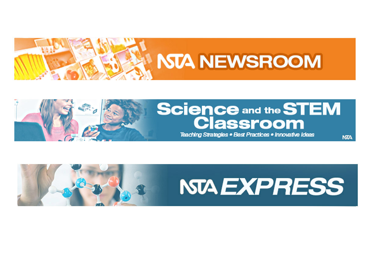 Diseño de Newsletter por Juuri para NSTA | Diseño #5125507