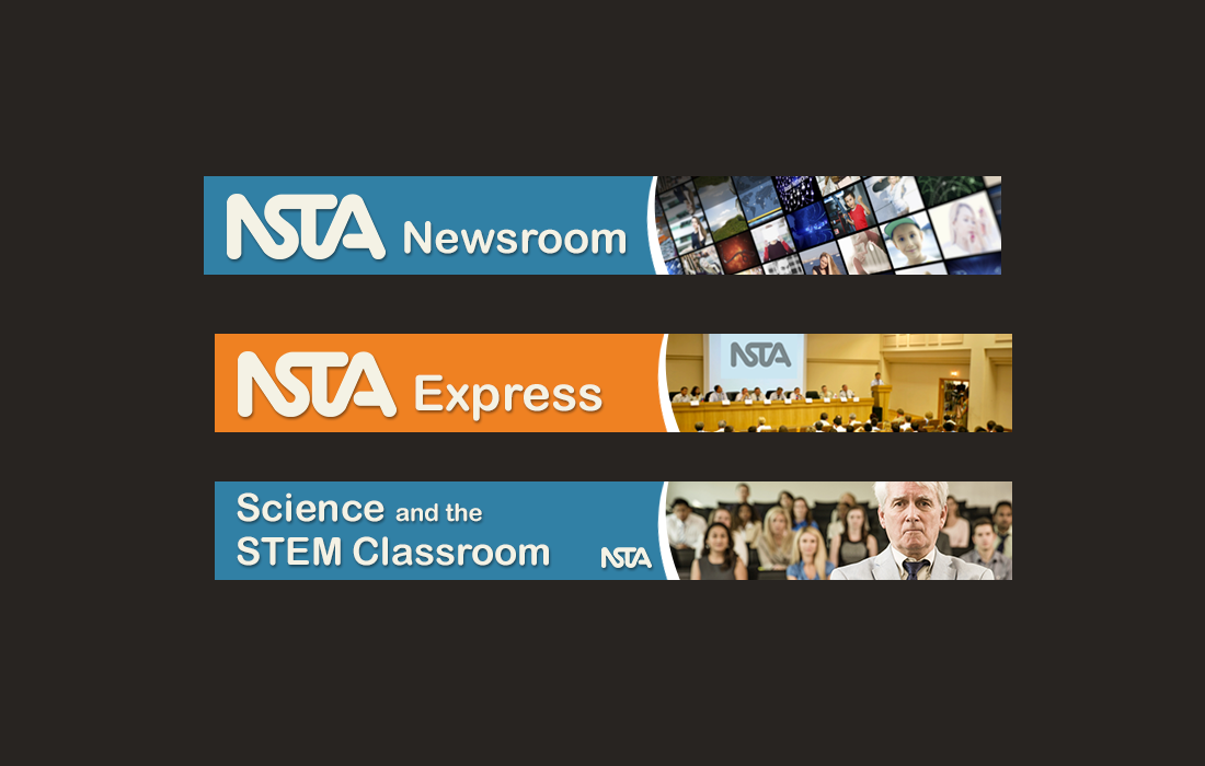 Newsletter Design by yadunath for NSTA | Design #5140522