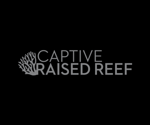 Logo Design by Daniel Caso Design for Captive Raised Reef LLC | Design: #5042785