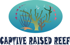 Logo Design by Acetrik for Captive Raised Reef LLC | Design #4965528