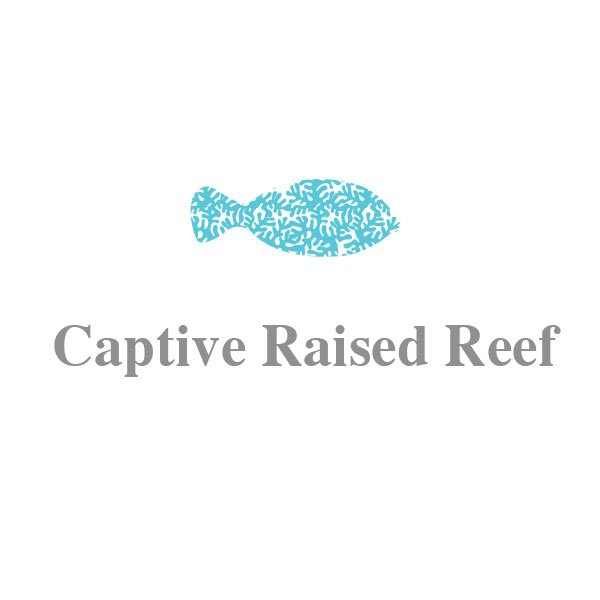 Logo Design by selio for Captive Raised Reef LLC | Design #5033882