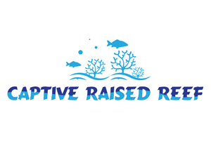 Logo Design by Innonline Solution