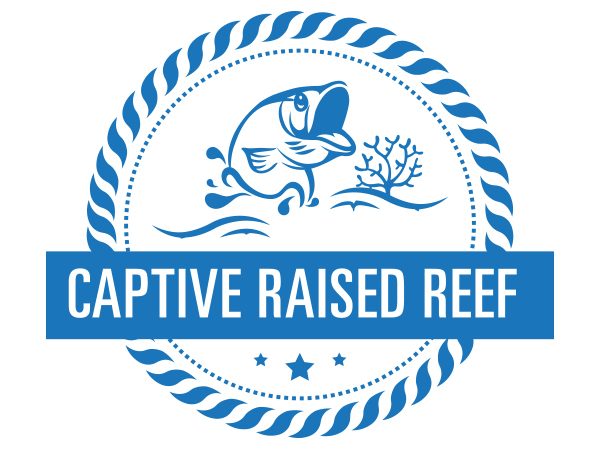 Logo Design by Innonline Solution for Captive Raised Reef LLC | Design #4987119