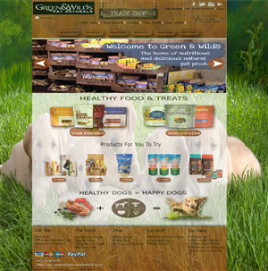 Photoshop Design by EWS Webs