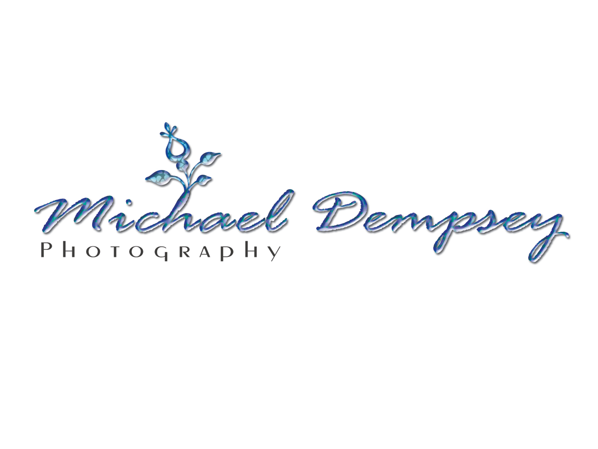 Logo Design by Riz' for this project | Design #4997819