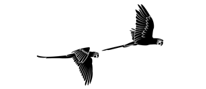 Vector Design by Sergio Coelho for this project | Design: #4969277