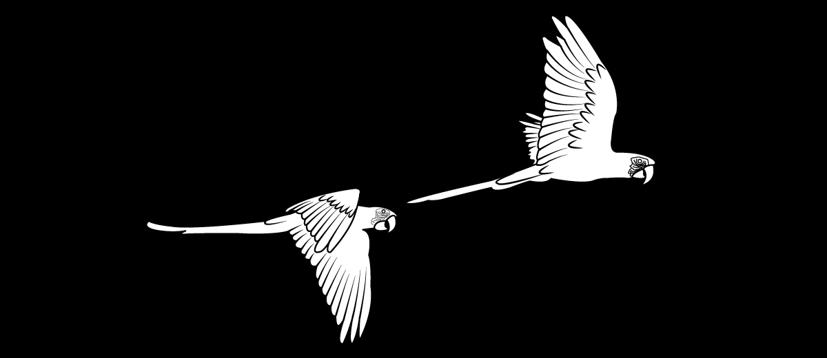 Diseño Vectorizado por Sergio Coelho para este proyecto | Diseño #4969284