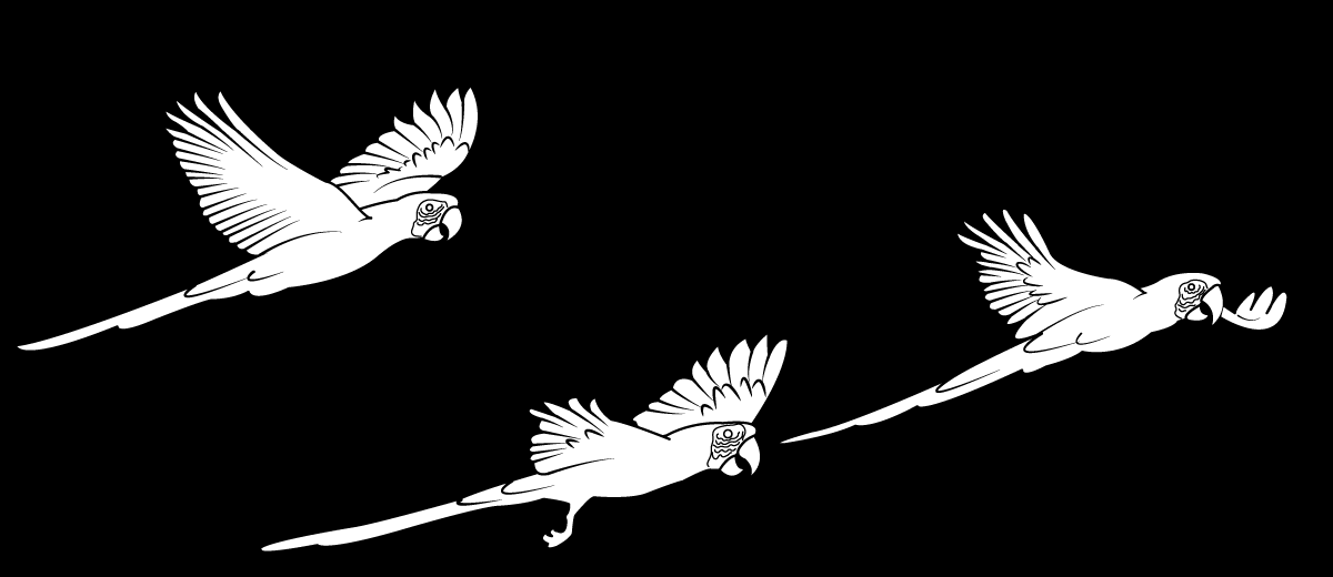 Diseño Vectorizado por Sergio Coelho para este proyecto | Diseño #4973458