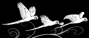 Vector Design by Sergio Coelho for this project | Design: #4975263