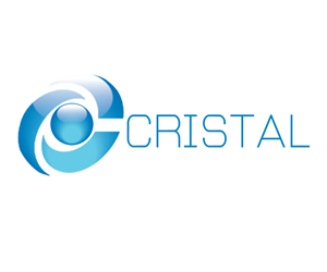 Logo Design by suchitra