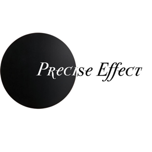 Logo Design by scoph537 for Precise Effect | Design #244553
