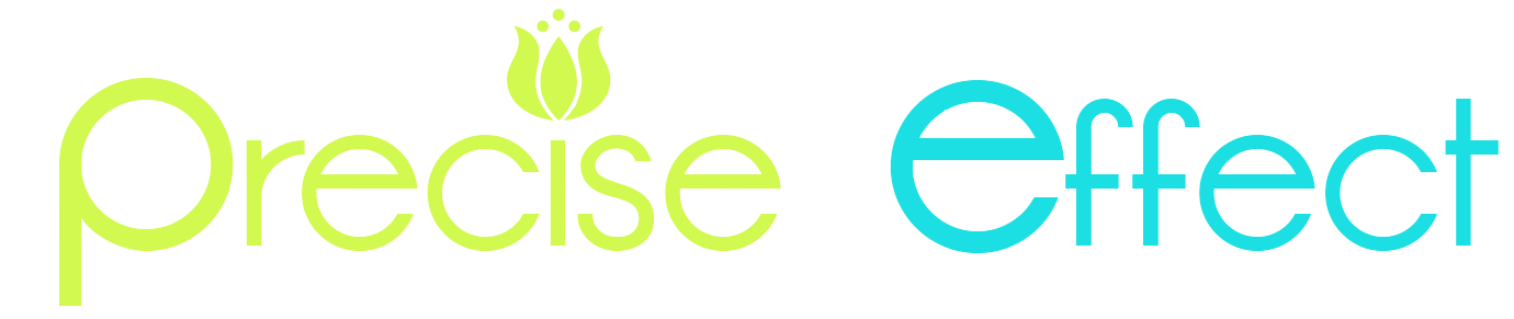 Logo Design by PolishGraphix for Precise Effect | Design #246521