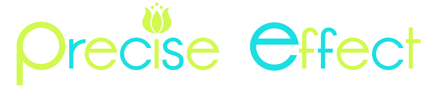 Logo Design by PolishGraphix for Precise Effect | Design #246524