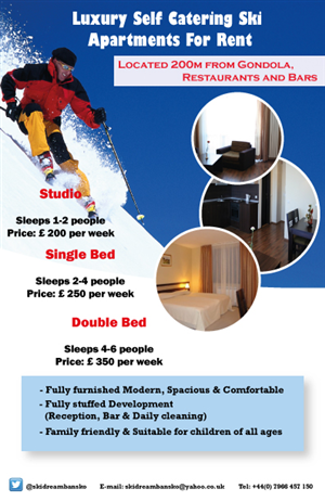 Flyer-Design von Sleek Designs für SNT Trading Ltd | Design #1395158