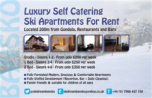 Flyer Design by Sue for SNT Trading Ltd | Design: #1396137