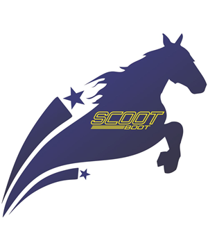 Logo Design by psychopass