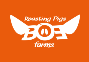 Logo Design by David Mendez Fernandez