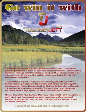 Brochure Design by Raven Designs 2024