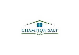 Logo Design by tomy93