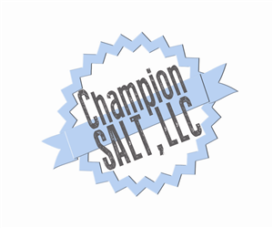 Logo Design by DesignKnox