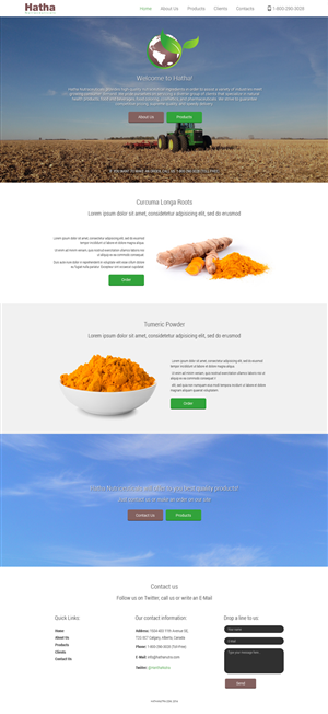 Wordpress Design by Ivan Fonin