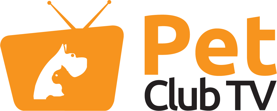 Logo Design by theK for Lightning International Ltd | Design #4974511