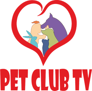 Logo Design by Acetrik