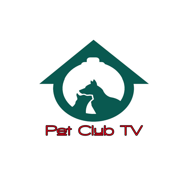 Diseño de Logo por kennethoben para Lightning International Ltd | Diseño #4973573