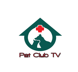 Logo-Design von kennethoben für Lightning International Ltd | Design: #4973589