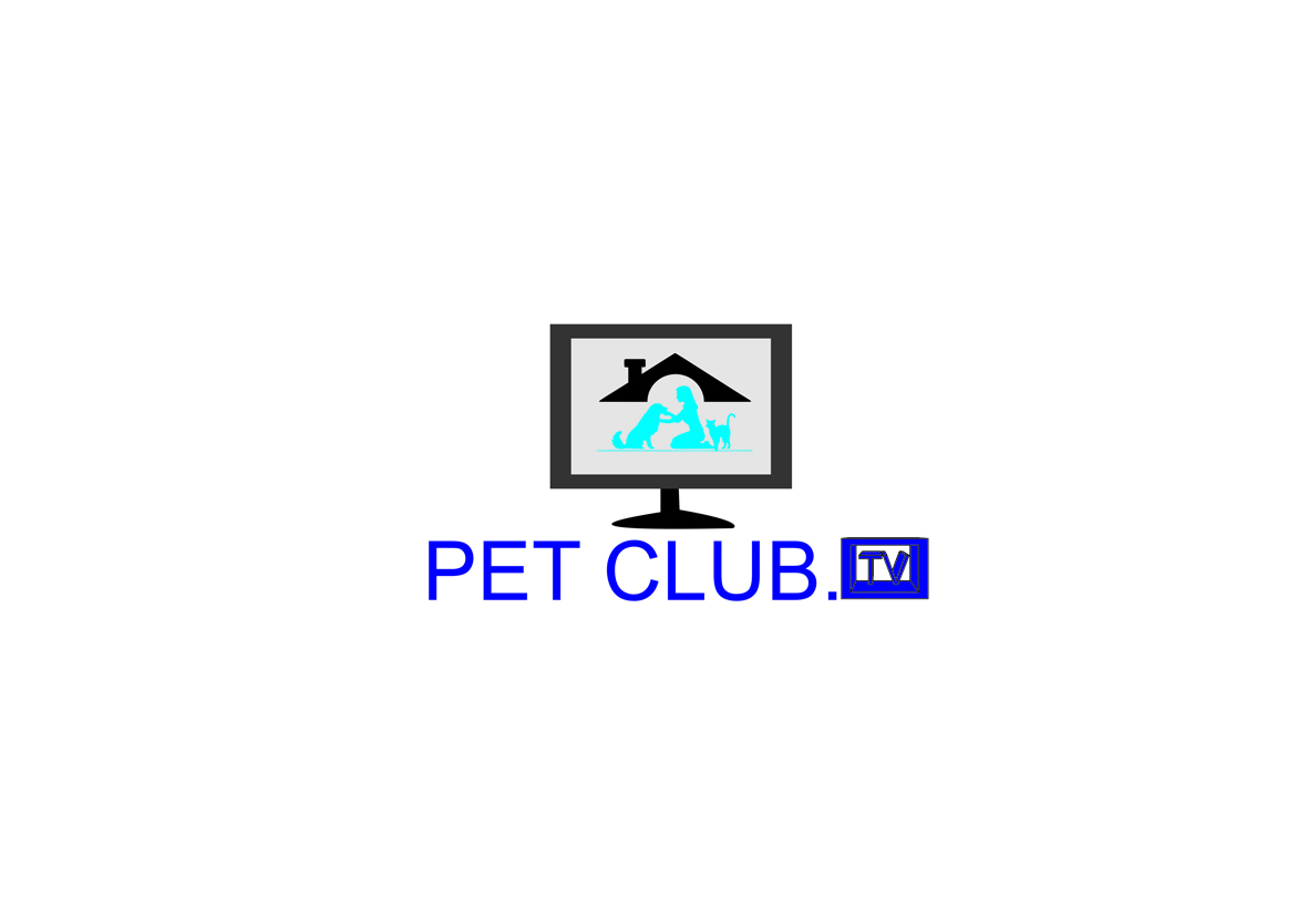 Logo Design by A.zdesign123 for Lightning International Ltd | Design #5014644