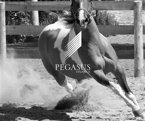 Logo Design by Rodrigo Porfiro for The Car Loan Warehouse | Design: #1417295