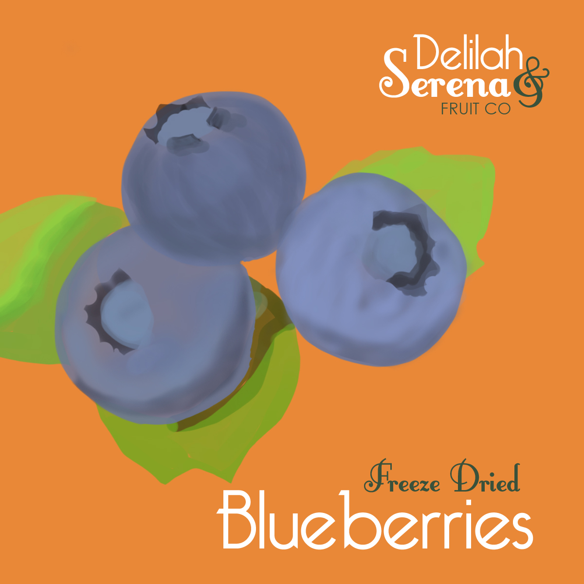 Packaging Design by Fine Lime Design for this project | Design #1401083