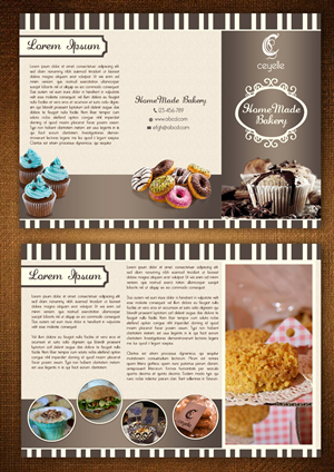 Brochure Design by ESolz Technologies