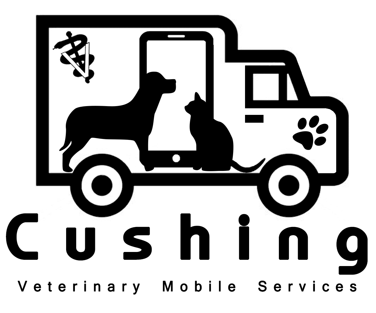 Logo Design by hebarefaat for this project | Design #5028696