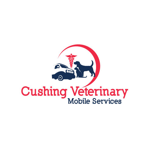 Logo Design by Himanshi10 for this project | Design #4981156